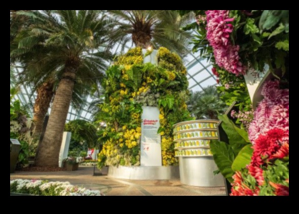 Radošā oāze: dārza mākslas šarma atklāšana