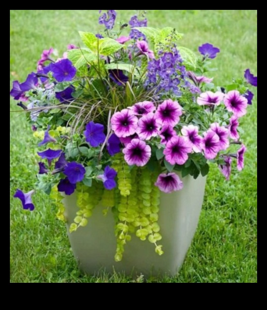 Ziedu simfonija: krāsu saskaņošana konteineru dārzos