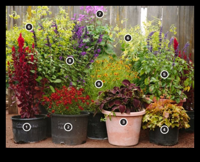 Ziedu simfonija: krāsu saskaņošana konteineru dārzos