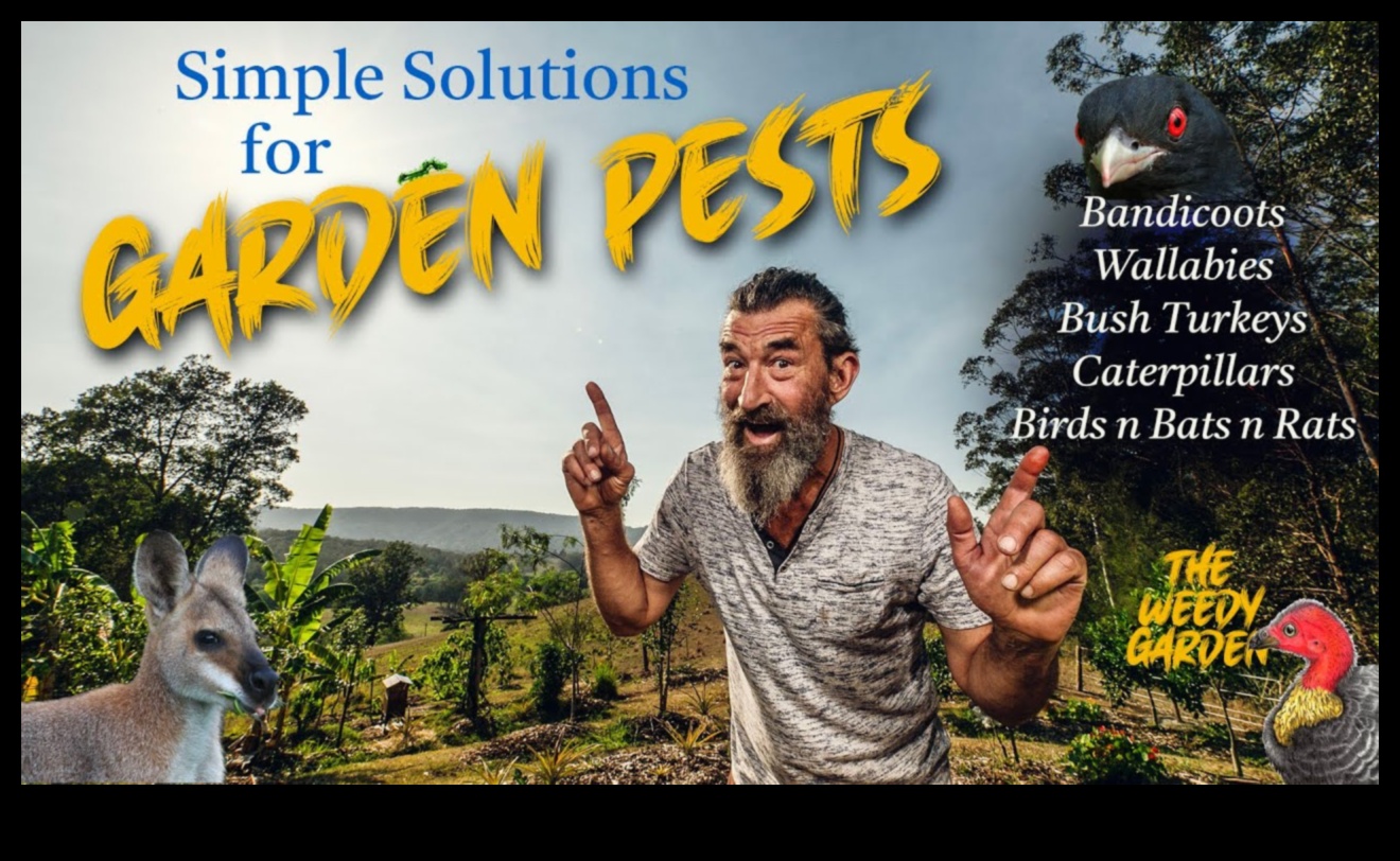 Aizstāviet sapni: dārza kaitēkļu apkarošanas stratēģijas