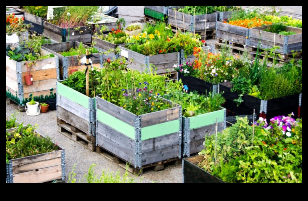City Gardening 411: padomi plaukstošai pilsētas apstādījumu veidošanai