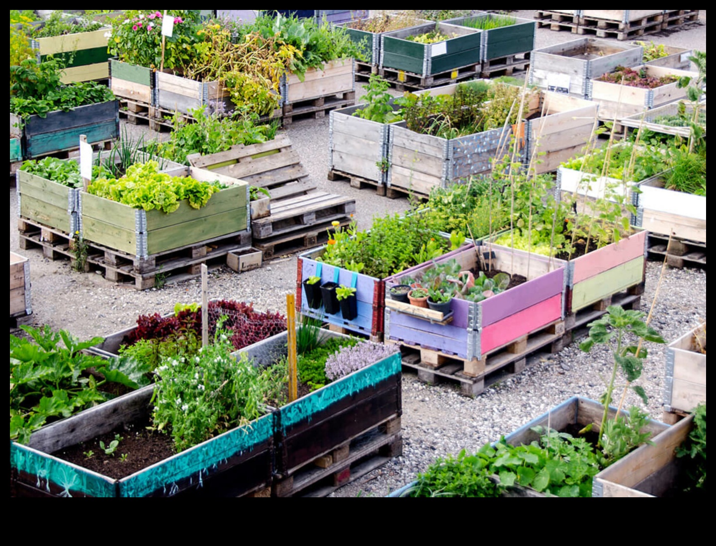 City Gardening 411: padomi plaukstošai pilsētas apstādījumu veidošanai