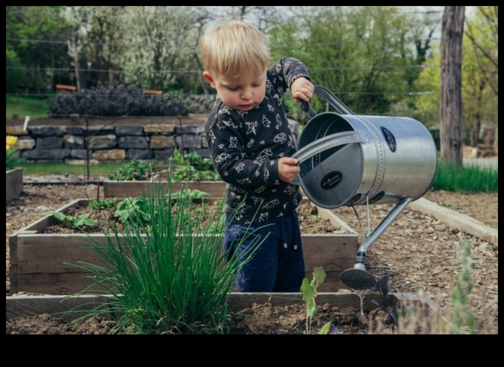 Izkopt spožumu: dārza izglītības ietekmīgās nodarbības