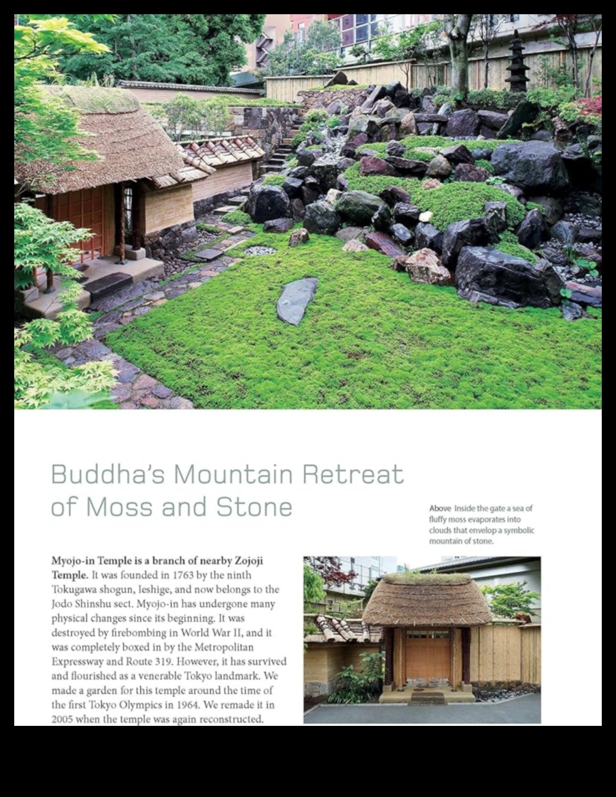 Koto Harmony: Japāņu dārzu izveide mājās