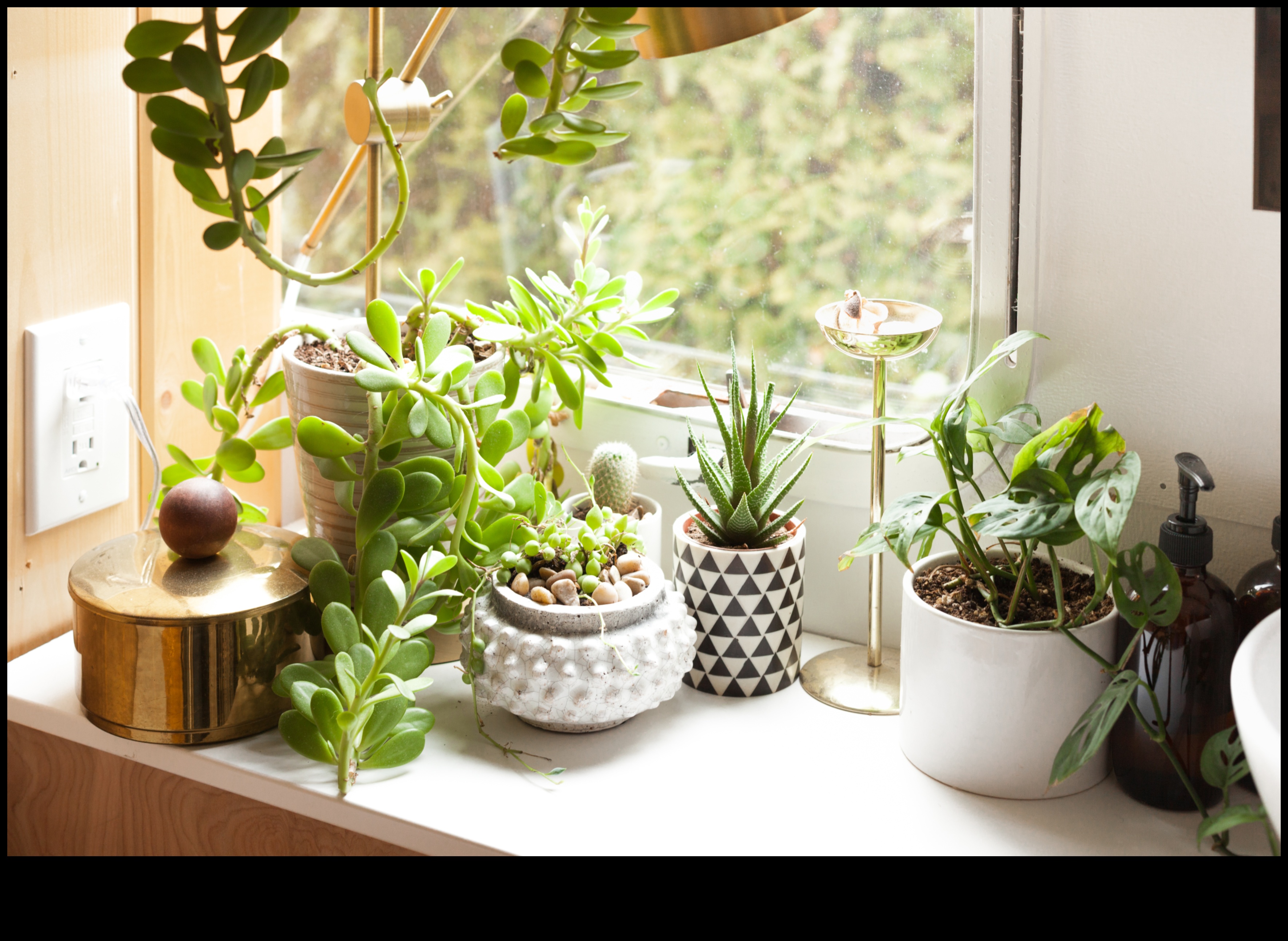 Iekštelpu oāze: pārveidojiet savu māju ar dārzkopību