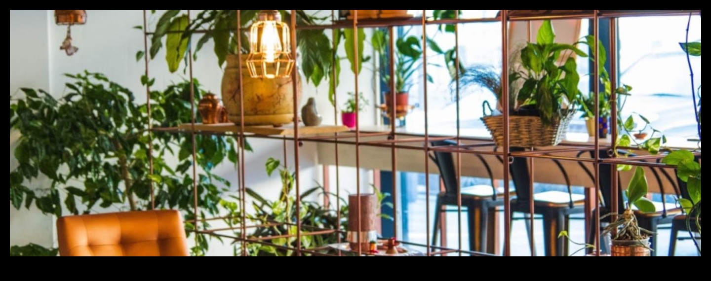 Iekštelpu oāze: pārveidojiet savu māju ar dārzkopību