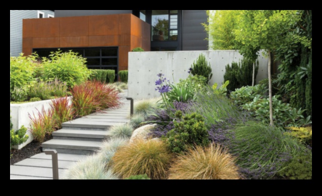 Augošās virsotnes: vertikālās dārzkopības skaistums