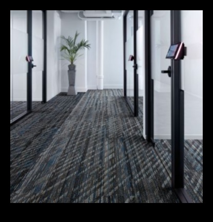 Tintes apgaismojums: izgaismo starojošu un unikālu dizainu