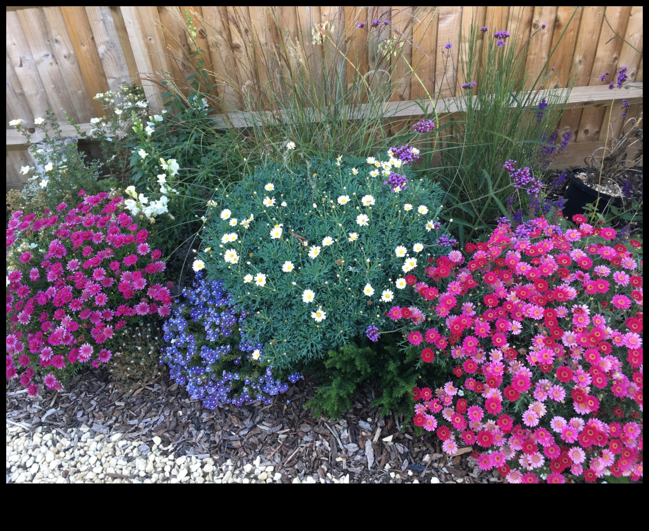 Blossom Bliss: DIY projekti satriecošai dārza patvērumam