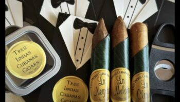 Ne tikai saites un instrumenti: unikālas dāvanu idejas Tēva dienai