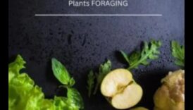 Earth's Bounty: ceļvedis uzplaukumam bioloģiskajos dārzos