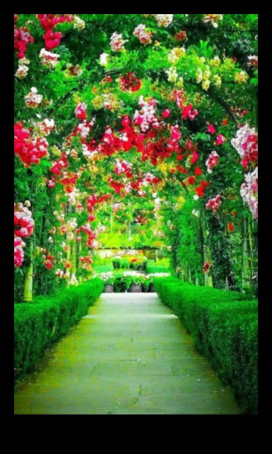 Elpu aizraujoši foni: dārza dizaina krāšņums