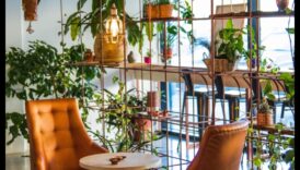 Iekštelpu oāze: pārveidojiet savu māju ar dārzkopību