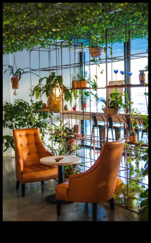 Iekštelpu oāze: pārveidojiet savu māju ar dārzkopību