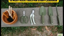 Izkopiet prieku: obligāti dārza instrumenti entuziastiem