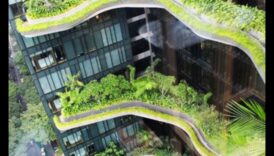 Pieaugošās virsotnes: vertikālās dārzkopības skaistums