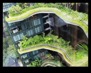 Pieaugošās virsotnes: vertikālās dārzkopības skaistums