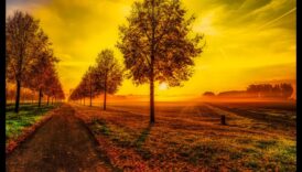 Pedantiski mirkļi: reālisma detalizēta pieeja mākslai