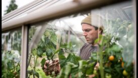 Sēj, zied, plaukst: siltumnīcas priekšrocības