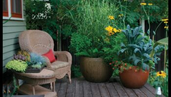 Uzplaukums šaurās vietās: konteineru dārzkopības prieki